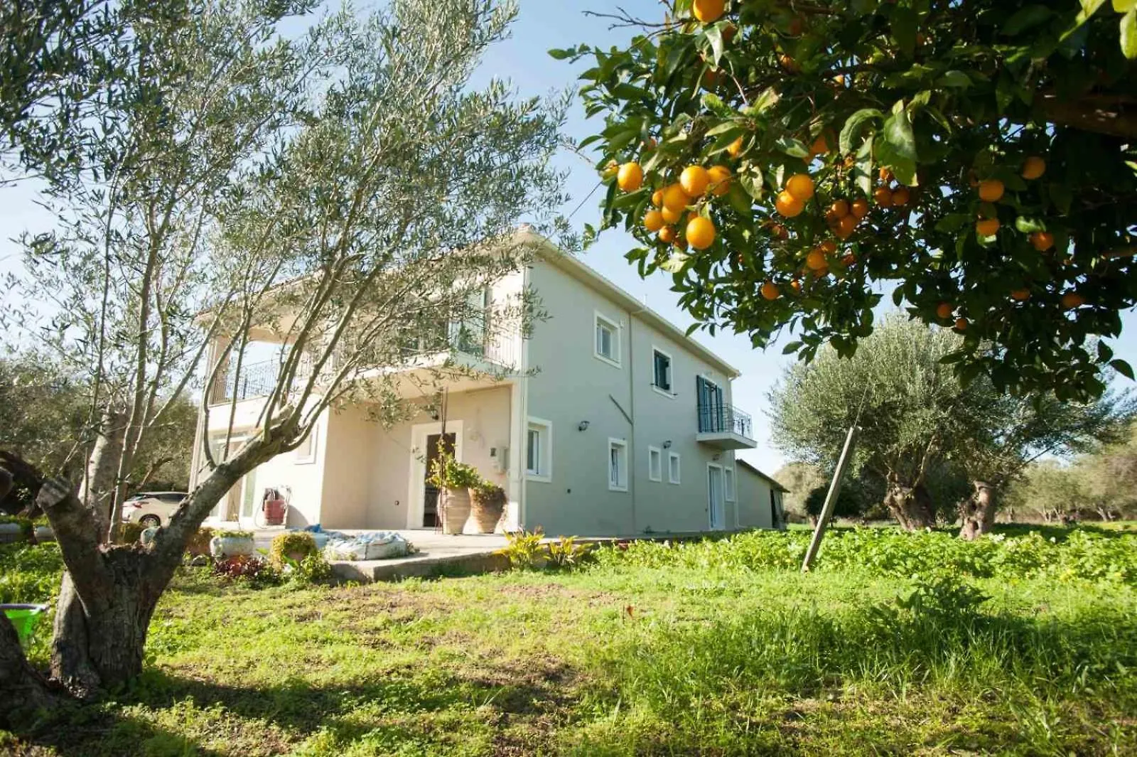 Panagis Apartments Argostoli  Greece